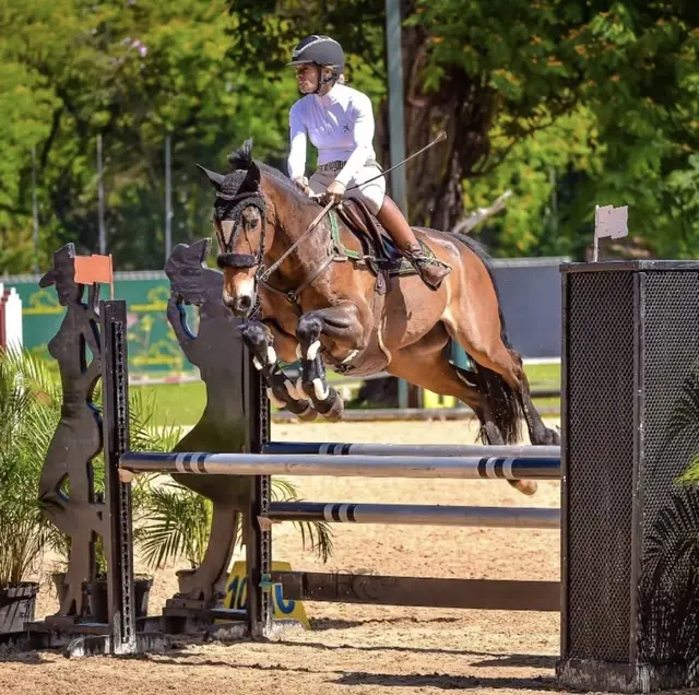 Cavalo em salto de obstáculo